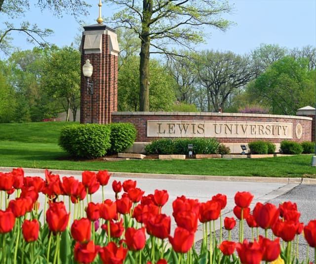 program-img