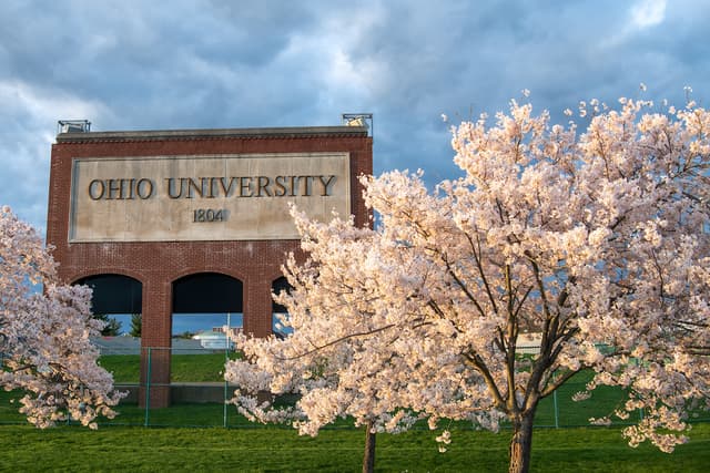 program-img