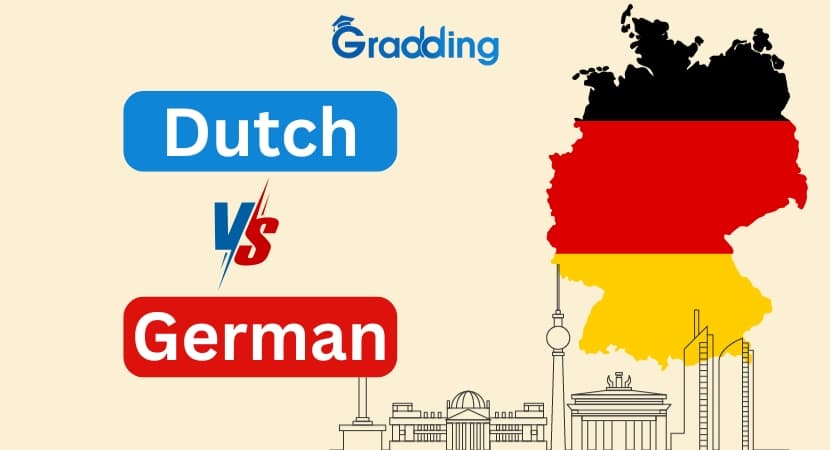 Dutch vs German| Gradding.com