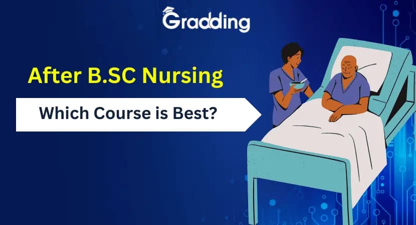 Know After BSc Nursing Which Course is Best Find out after BSc nursing which course is best for a better future prospect | Gradding.com