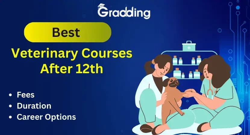 Best Veterinary Courses After 12th Explore best veterinary courses after 12th along with their fees, eligibility, scope, & more | Gradding.com