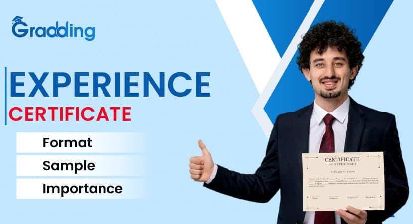 Experience Certificate Format | Sample | Importance Learn the meaning of experience certificate, format, and sample | Gradding